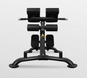 Гиперэкстензия BRONZE GYM BR-1010
