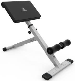 Гиперэкстензия DFC Homegym SJ1006W Белый