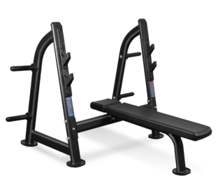 Скамья для жима горизонтальная BRONZE GYM BR-1012